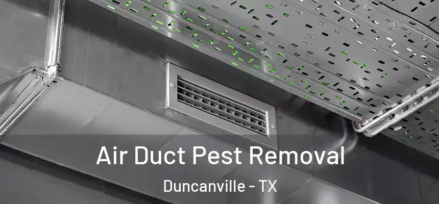Air Duct Pest Removal Duncanville - TX