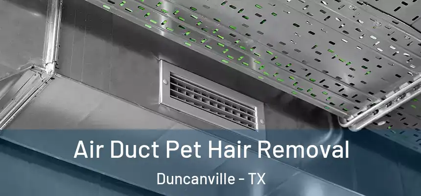  Air Duct Pet Hair Removal Duncanville - TX