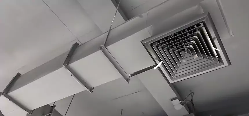 Our Pest Removal From Ducts Services in Duncanville, TX