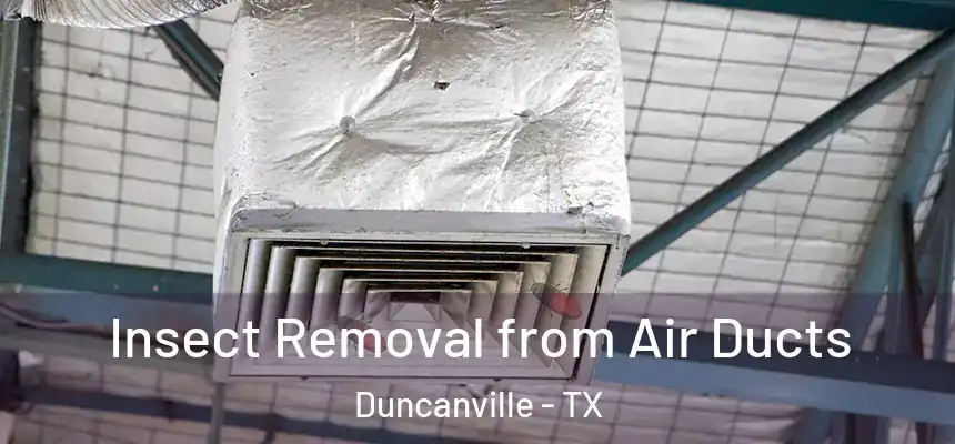 Insect Removal from Air Ducts Duncanville - TX