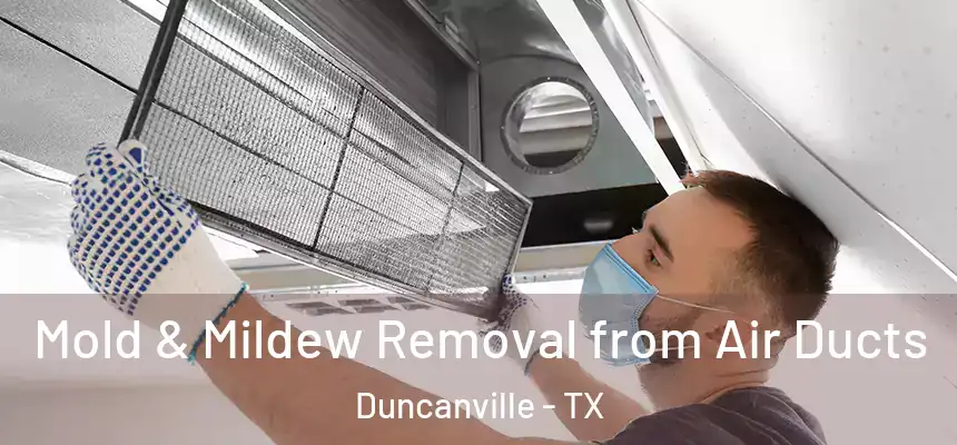 Mold & Mildew Removal from Air Ducts Duncanville - TX