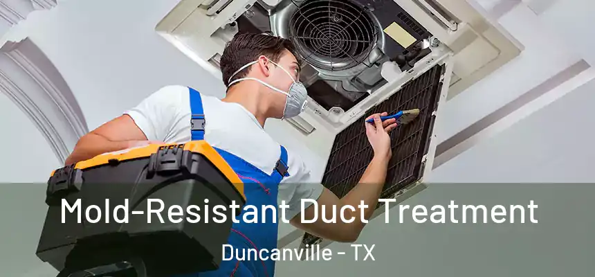 Mold-Resistant Duct Treatment Duncanville - TX