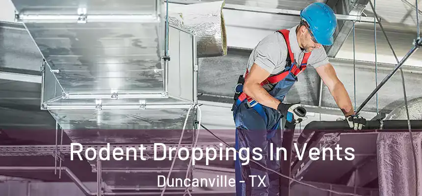  Rodent Droppings In Vents Duncanville - TX