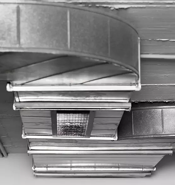 Professional Air Duct Pest Removal in Duncanville, TX