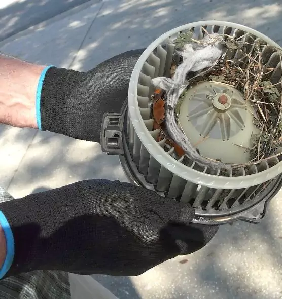 About Air Duct Rat Removal in Duncanville, TX