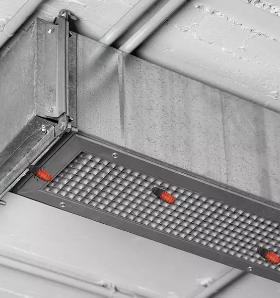 Affordable Insect Removal from Air Ducts in Duncanville, TX