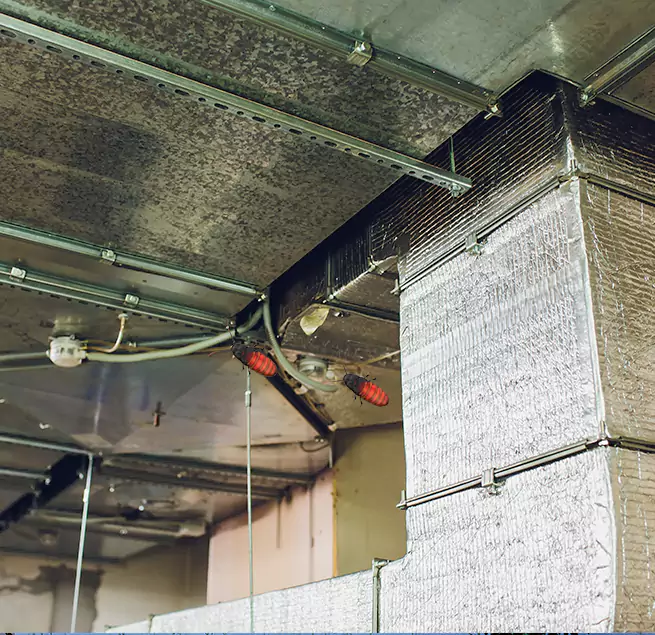 Why Homeowners & Businesses Trust Us in Duncanville, TX?