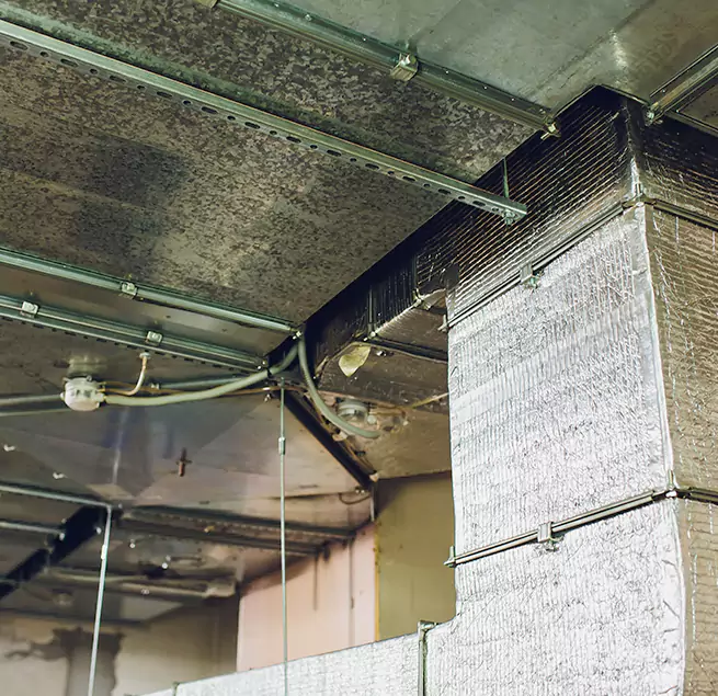 Why Homeowners & Businesses Trust Us in Duncanville, TX?